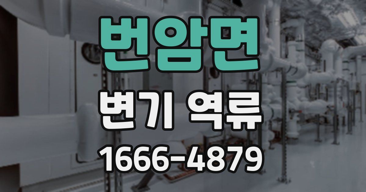 번암면 변기 역류