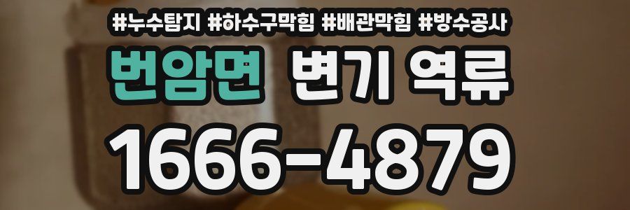 번암면 변기 역류