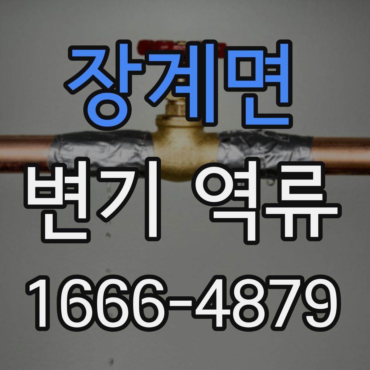 장계면 변기 역류