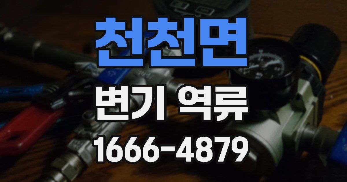 천천면 변기 역류