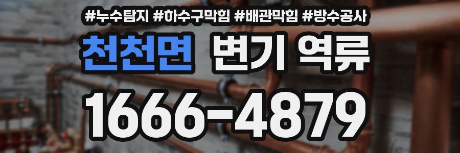 천천면 변기 역류