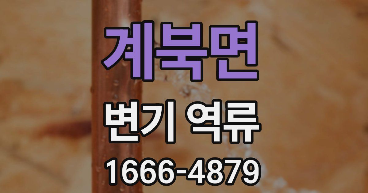 계북면 변기 역류