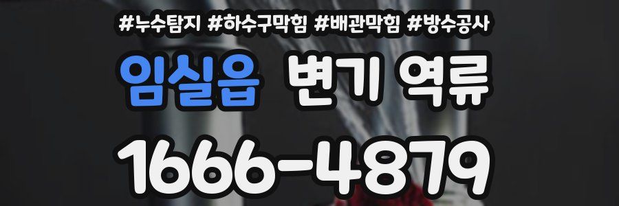 임실읍 변기 역류