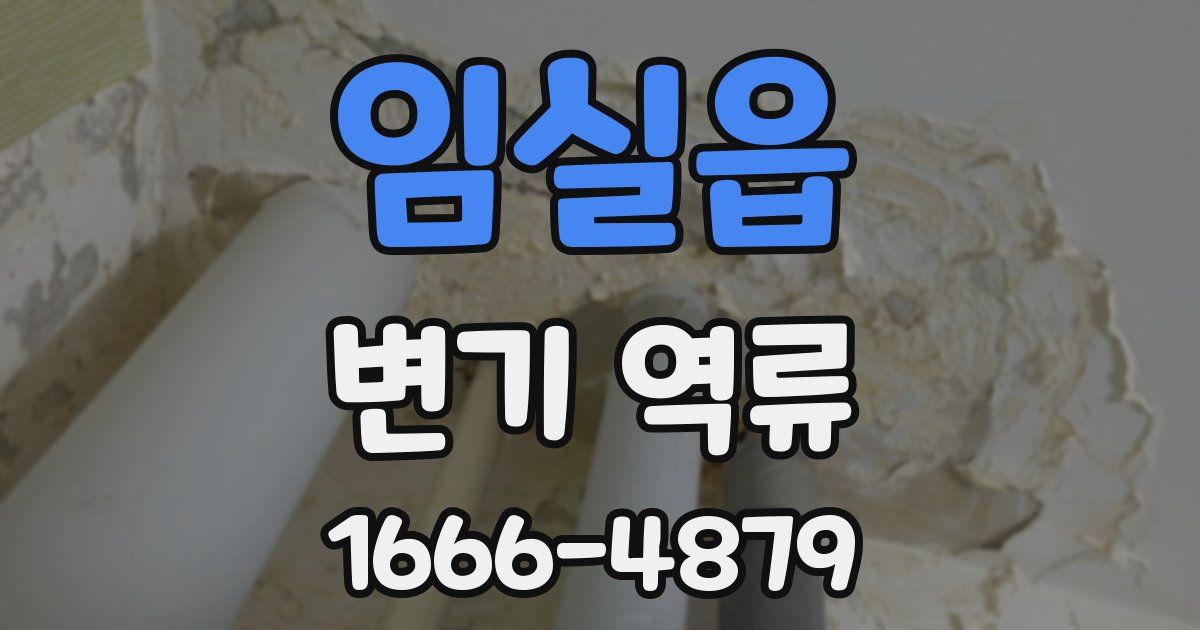 임실읍 변기 역류