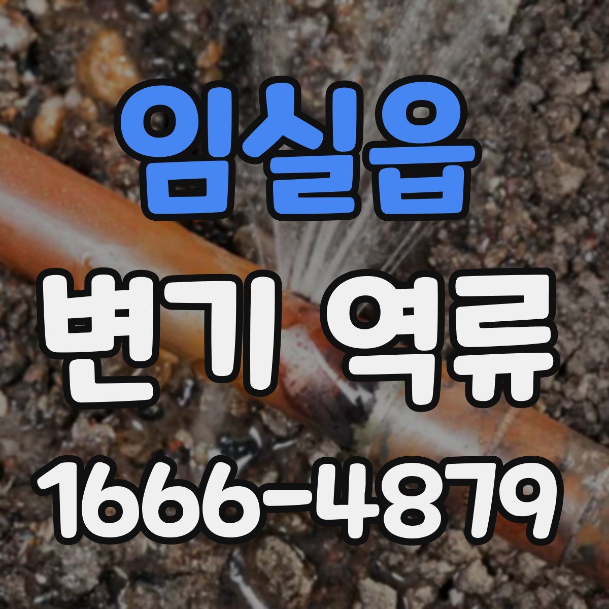 임실읍 변기 역류