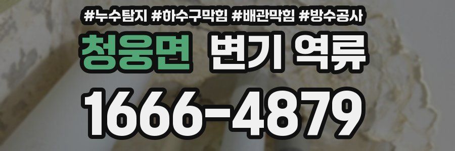 청웅면 변기 역류