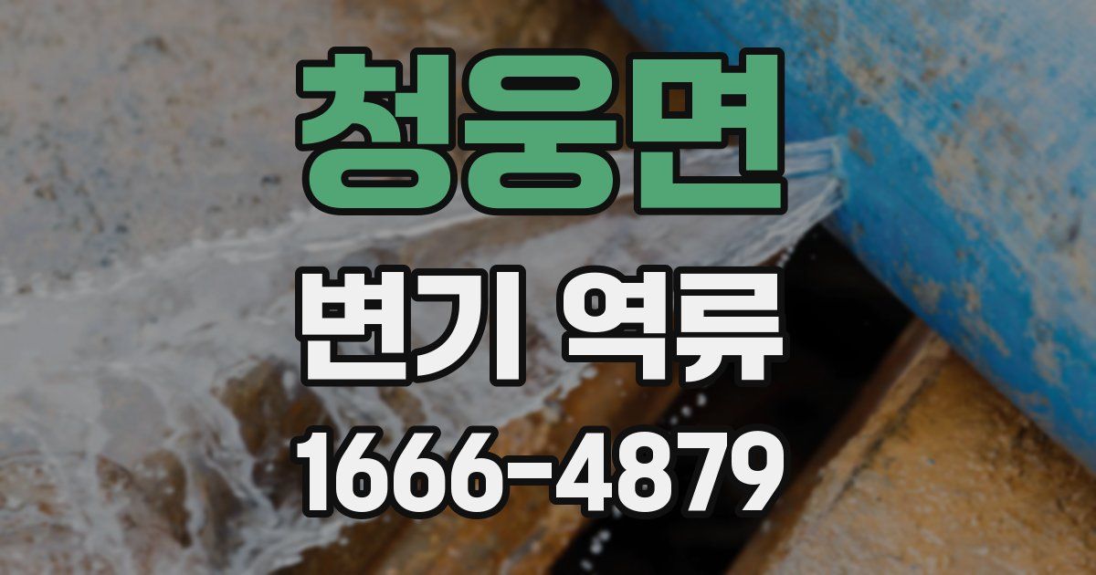 청웅면 변기 역류