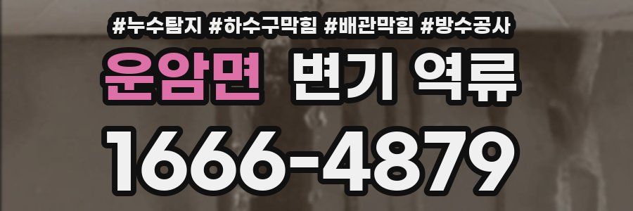 운암면 변기 역류