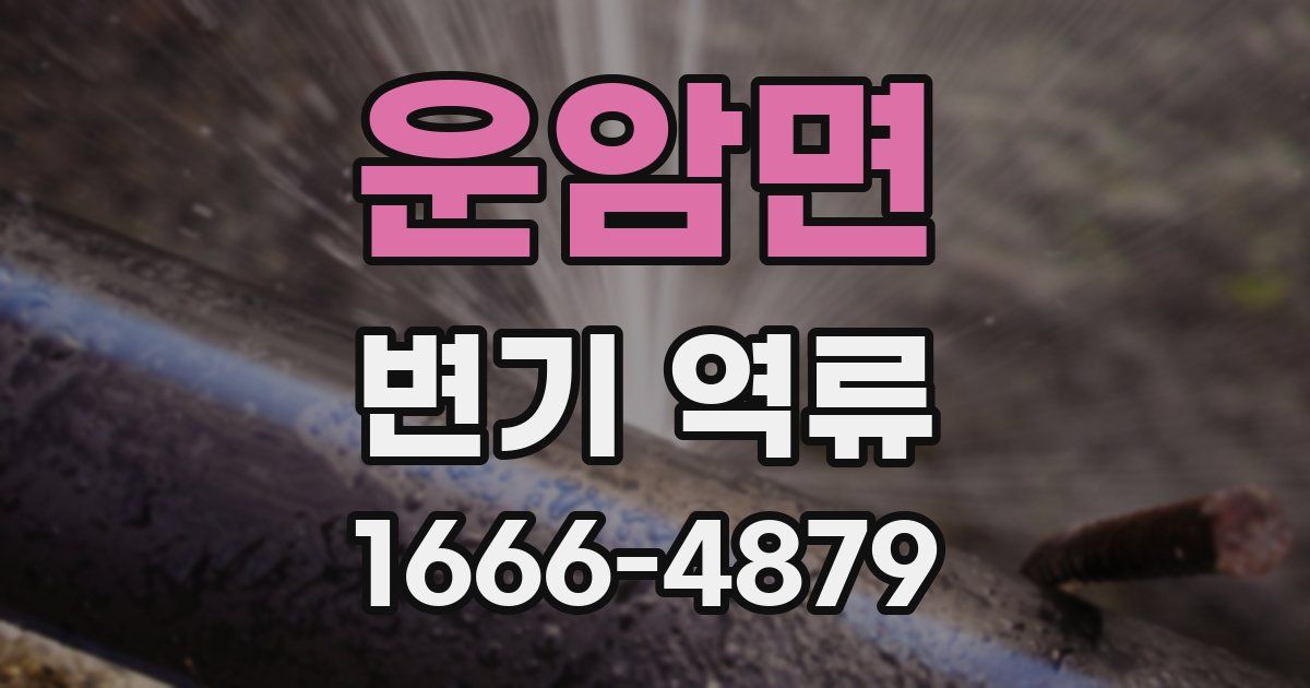 운암면 변기 역류