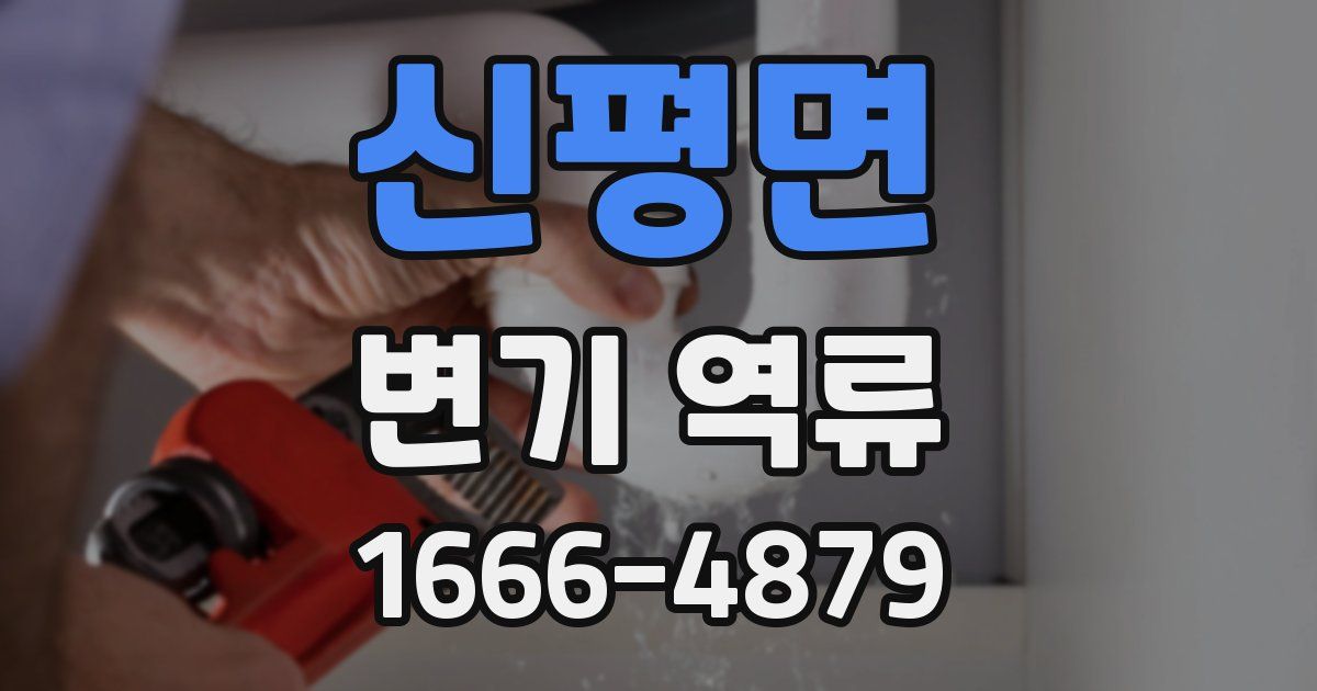 신평면 변기 역류
