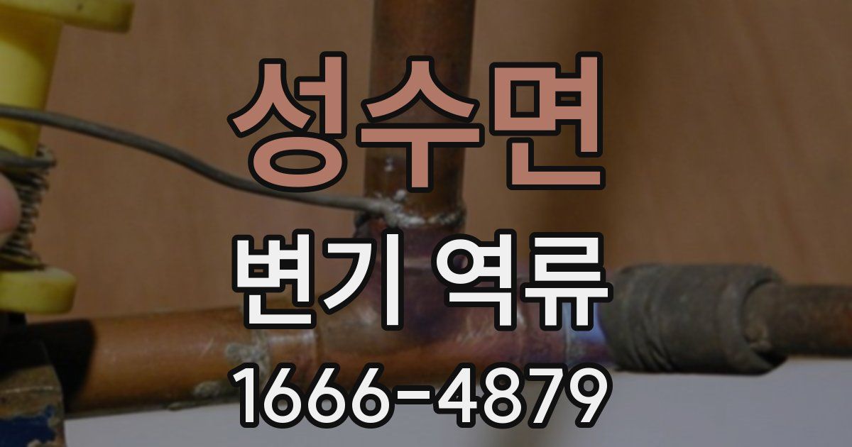 성수면 변기 역류