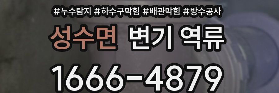 성수면 변기 역류