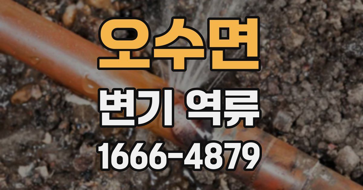 오수면 변기 역류