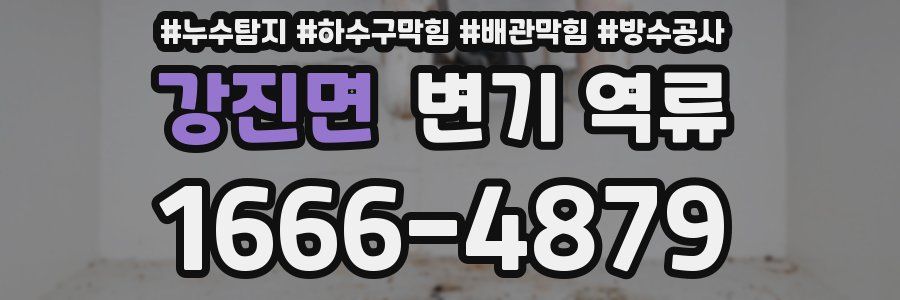 강진면 변기 역류