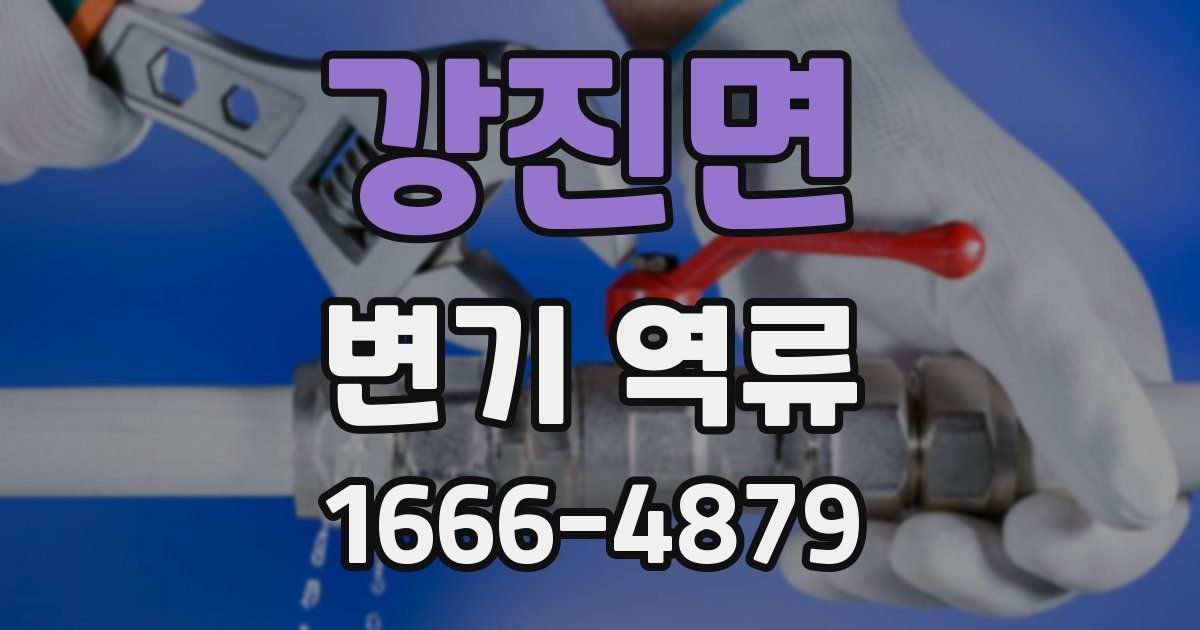 강진면 변기 역류