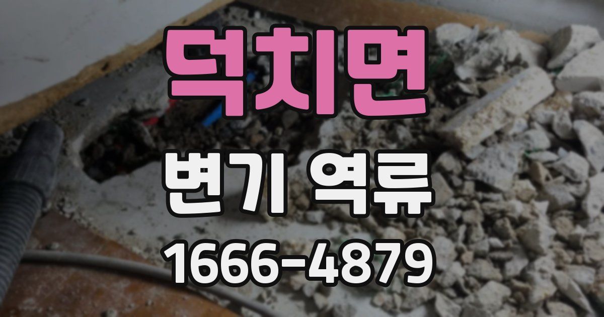 덕치면 변기 역류