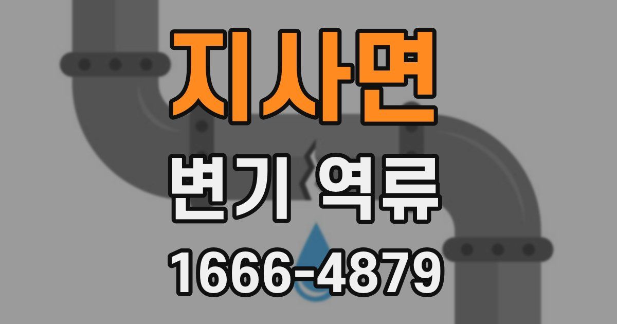 지사면 변기 역류