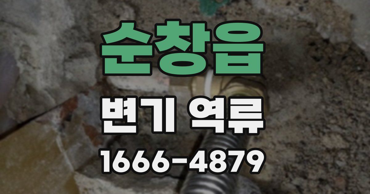 순창읍 변기 역류
