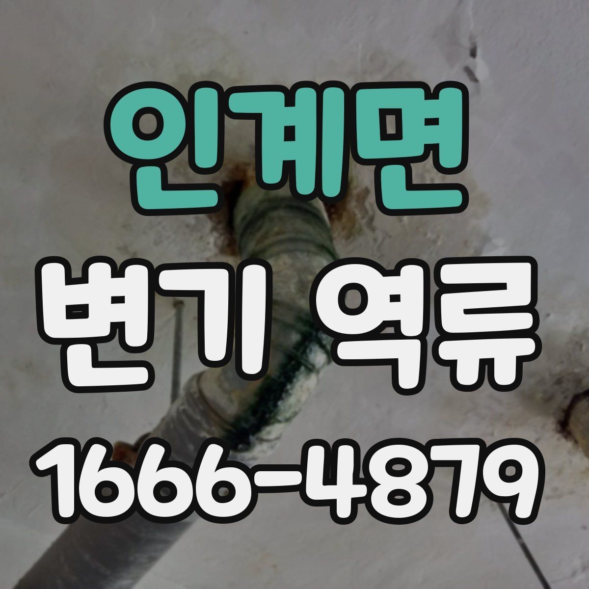 인계면 변기 역류 자주 반복될 때 확인할 부분