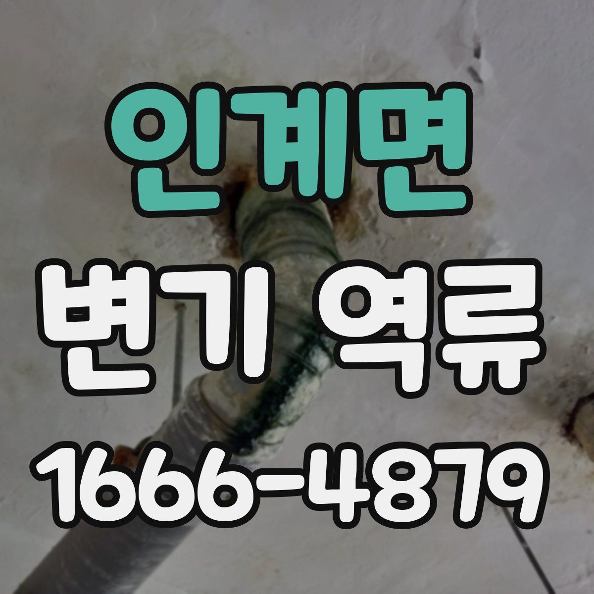 인계면 변기 역류