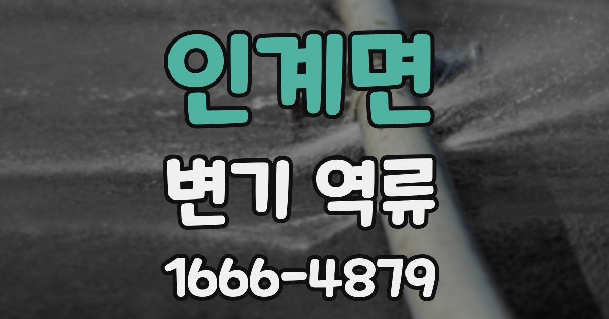 인계면 변기 역류