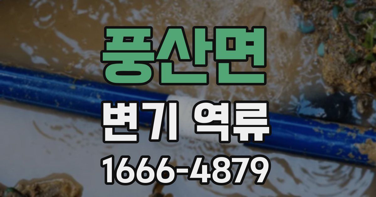 풍산면 변기 역류