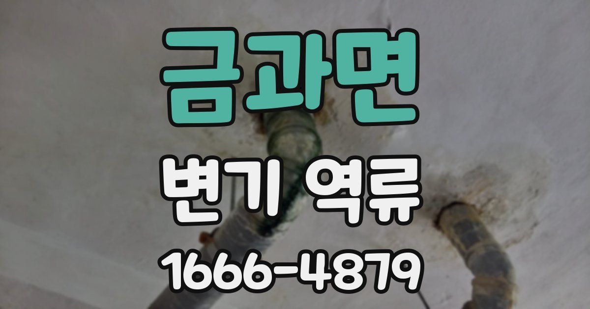 금과면 변기 역류