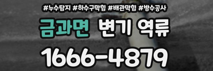 금과면 변기 역류