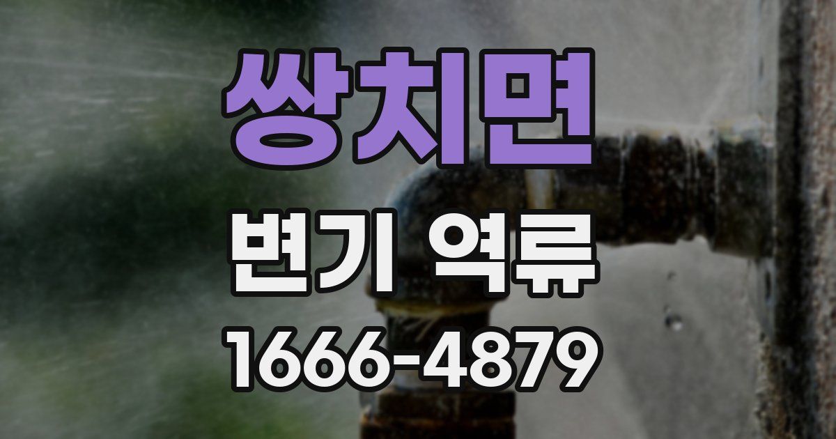쌍치면 변기 역류