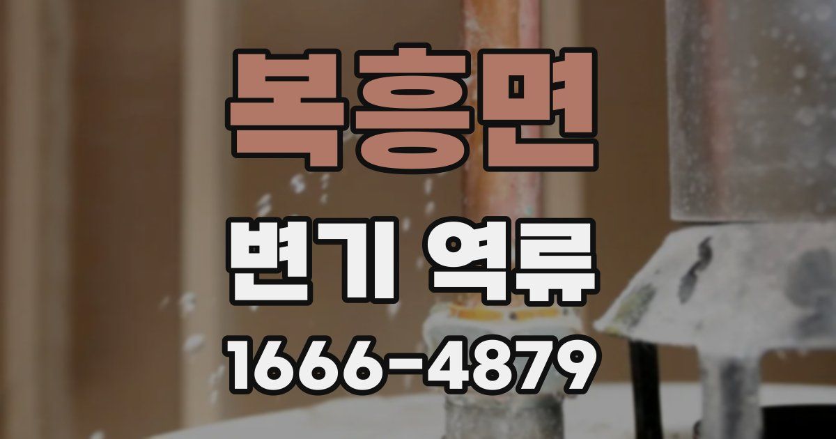 복흥면 변기 역류