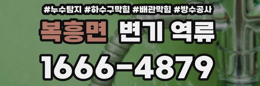 복흥면 변기 역류