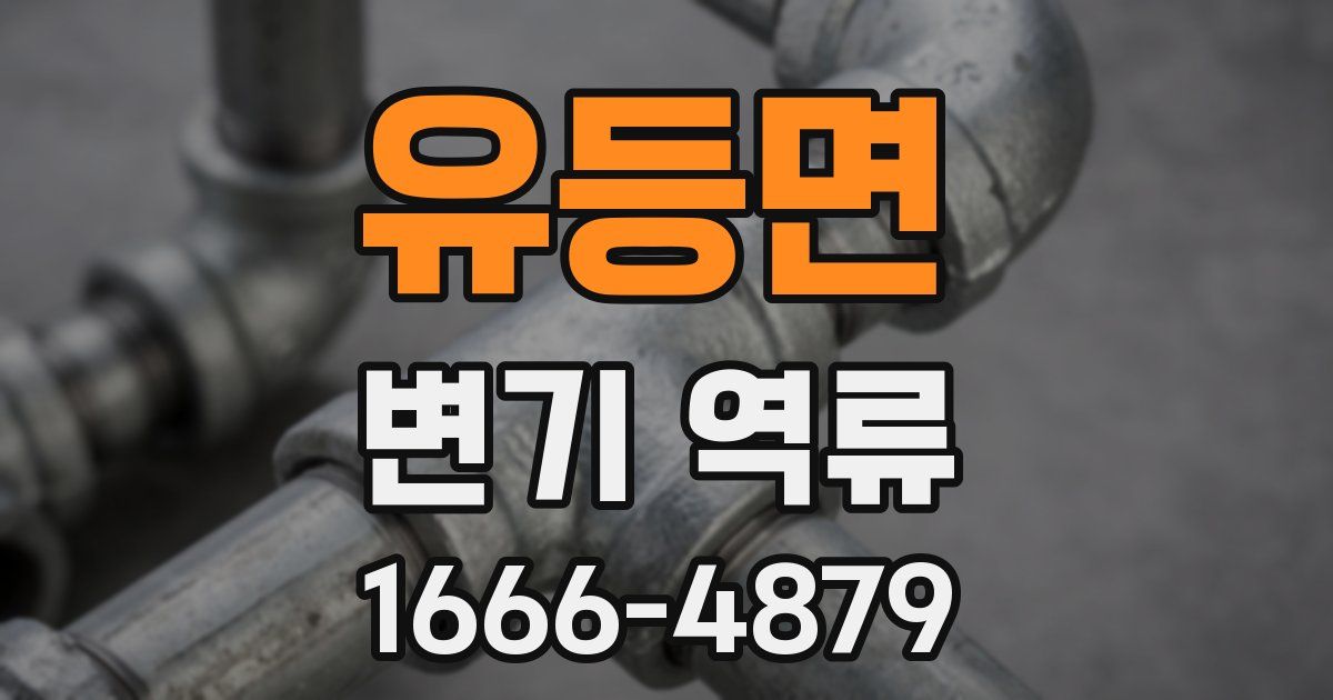 유등면 변기 역류