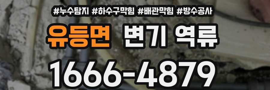 유등면 변기 역류