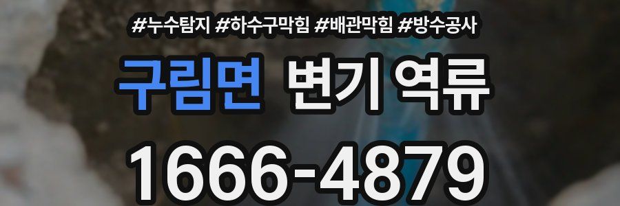 구림면 변기 역류