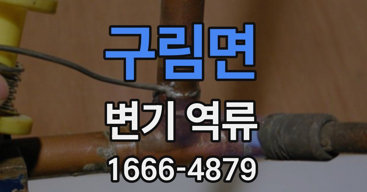 구림면 변기 역류