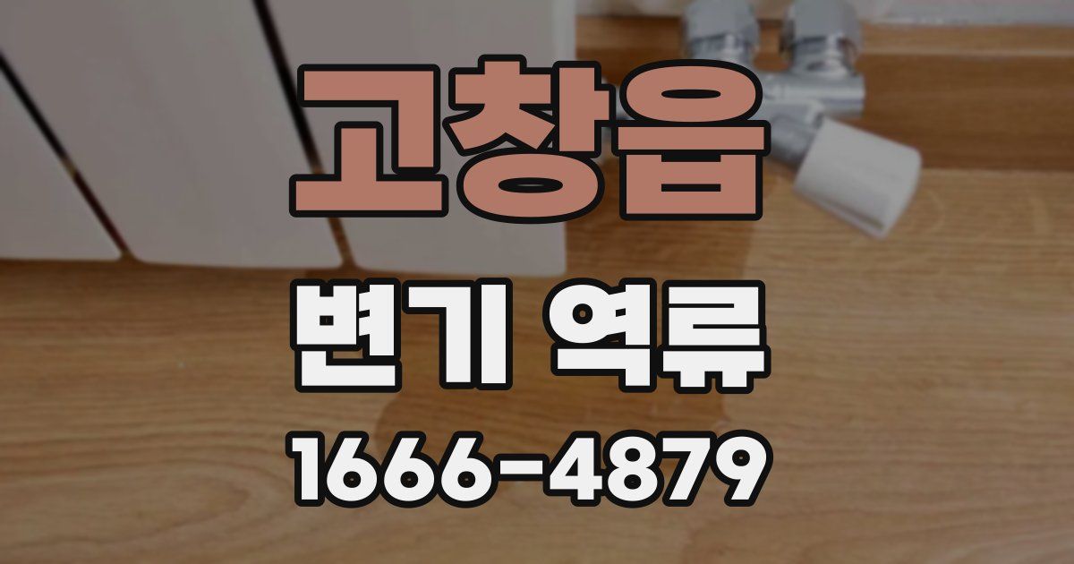고창읍 변기 역류