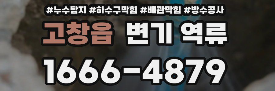 고창읍 변기 역류