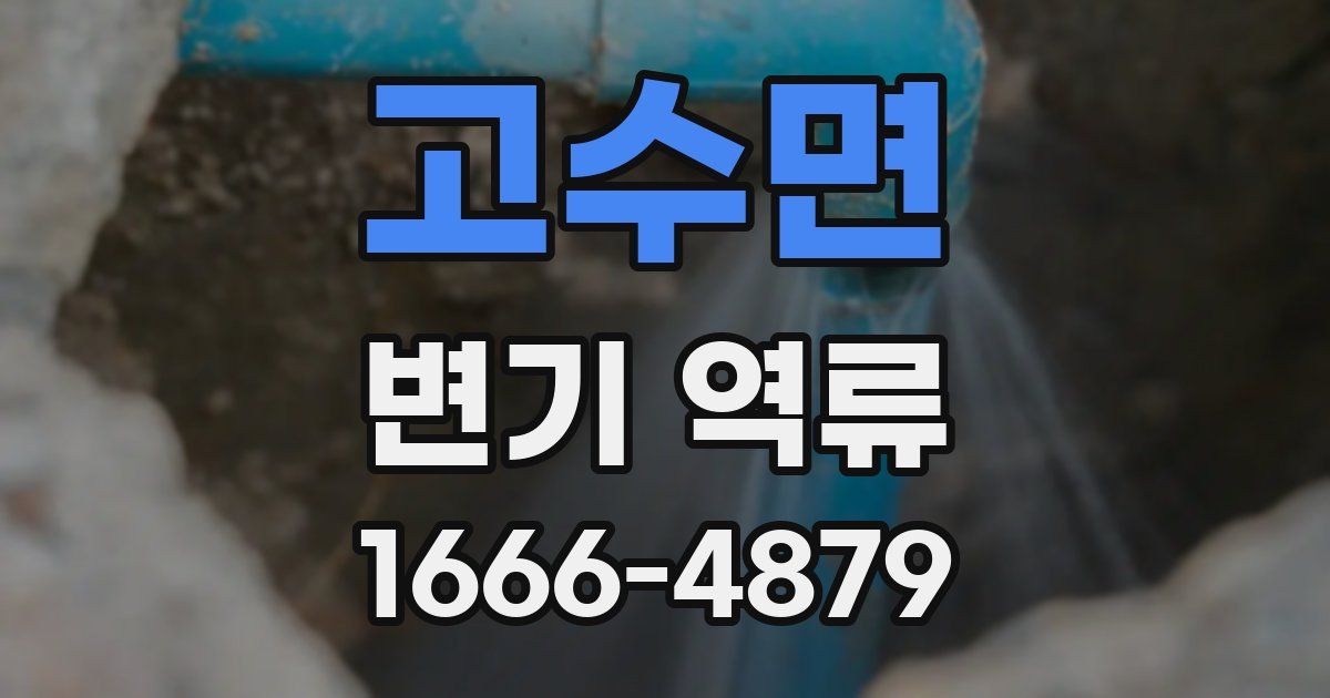 고수면 변기 역류