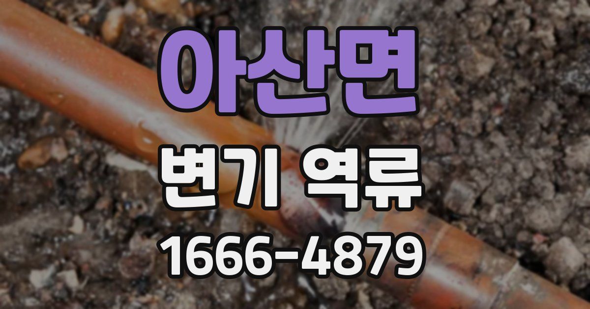 아산면 변기 역류