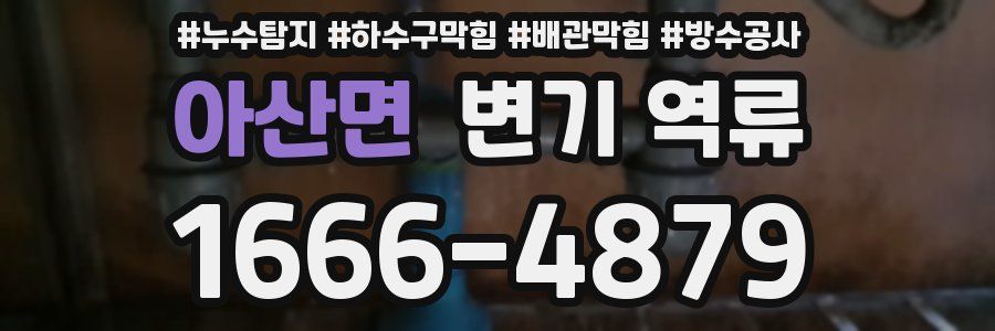 아산면 변기 역류