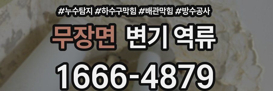 무장면 변기 역류