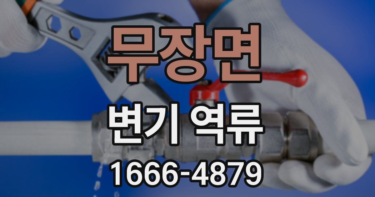 무장면 변기 역류
