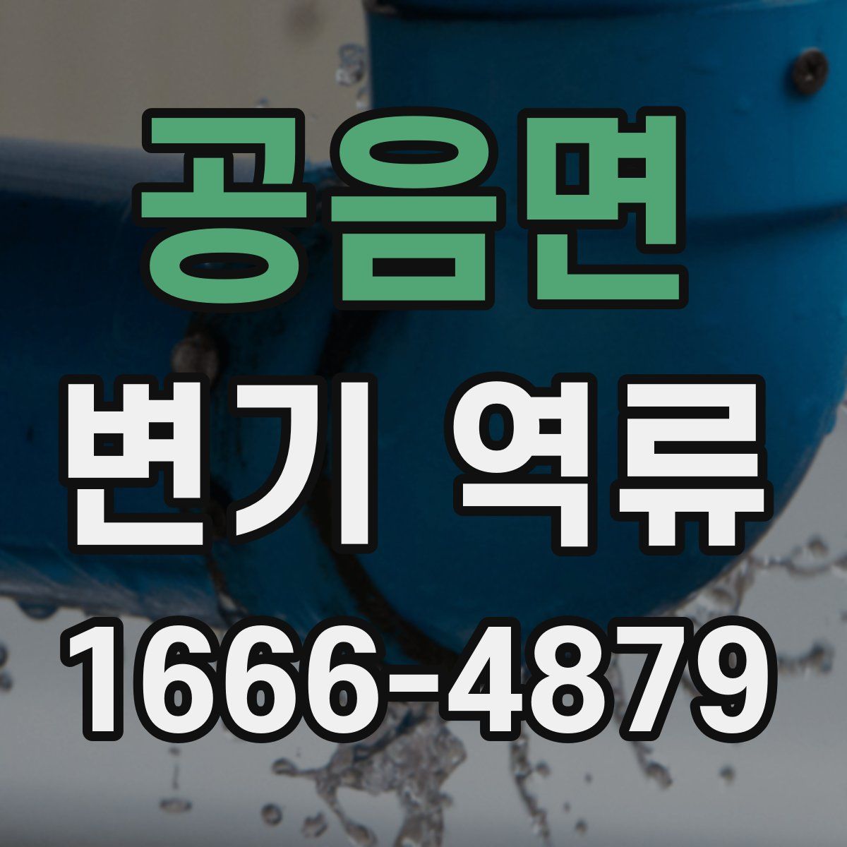 공음면 변기 역류