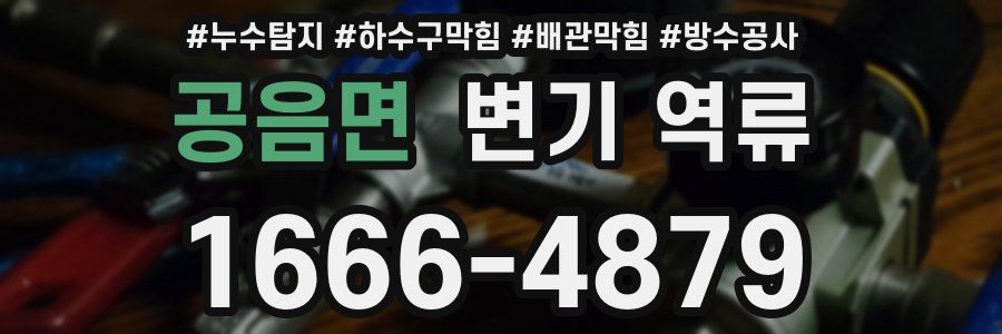 공음면 변기 역류