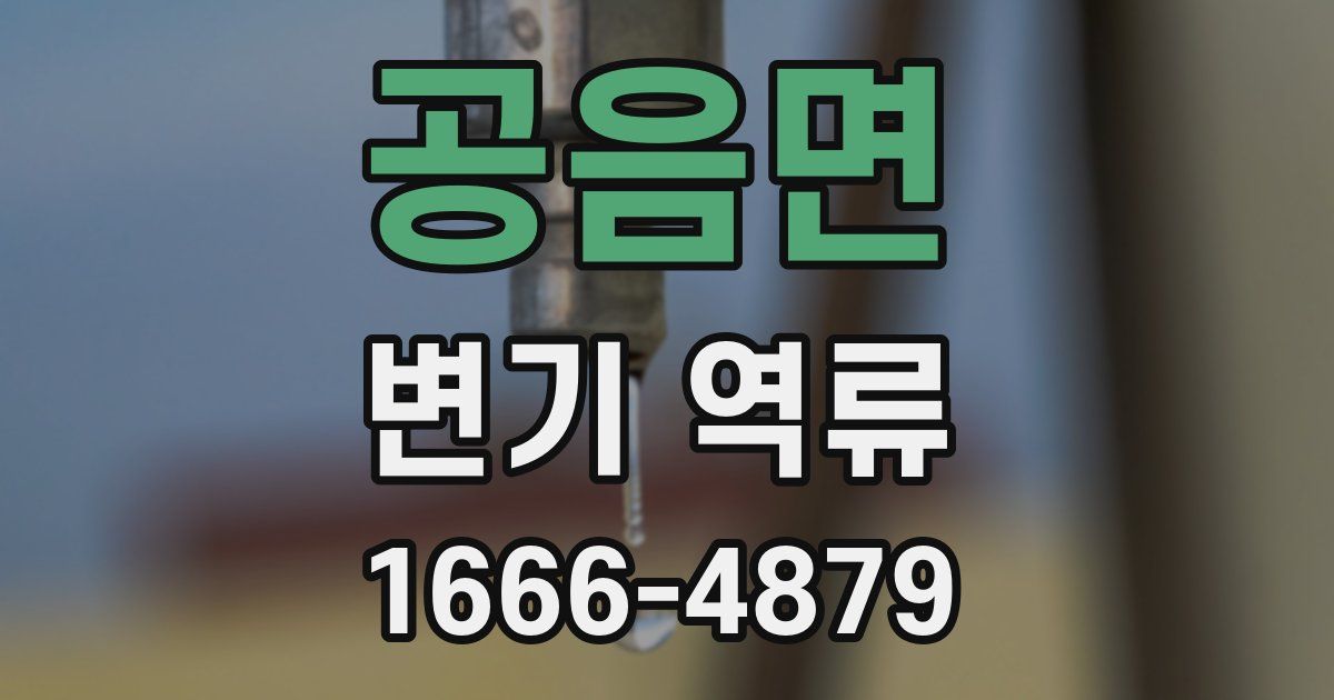공음면 변기 역류