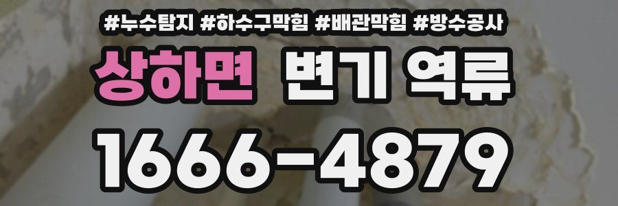 상하면 변기 역류