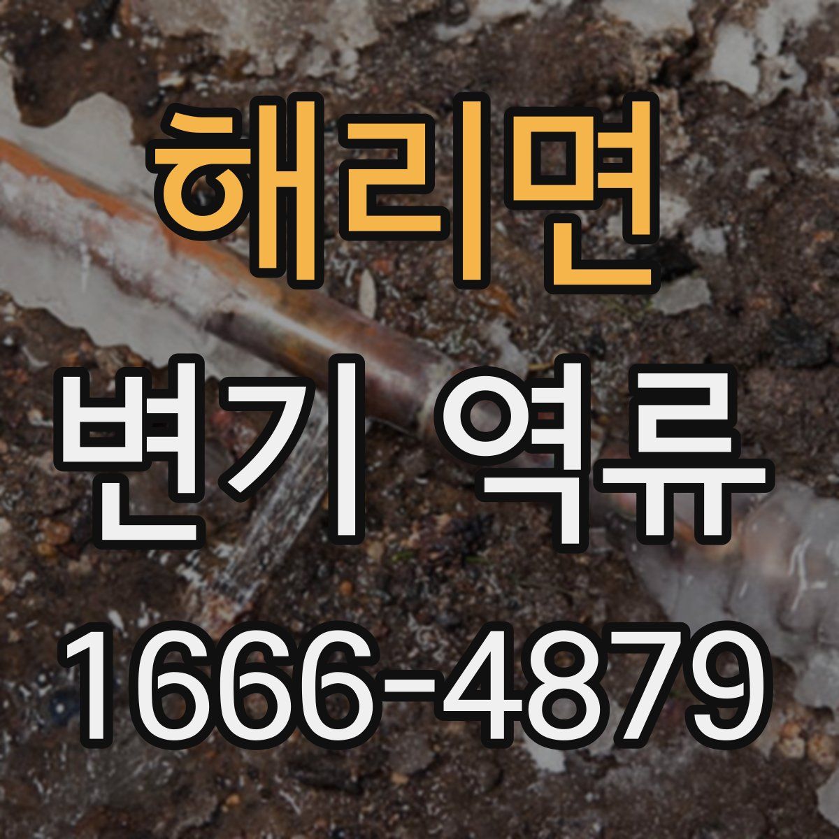 해리면 변기 역류