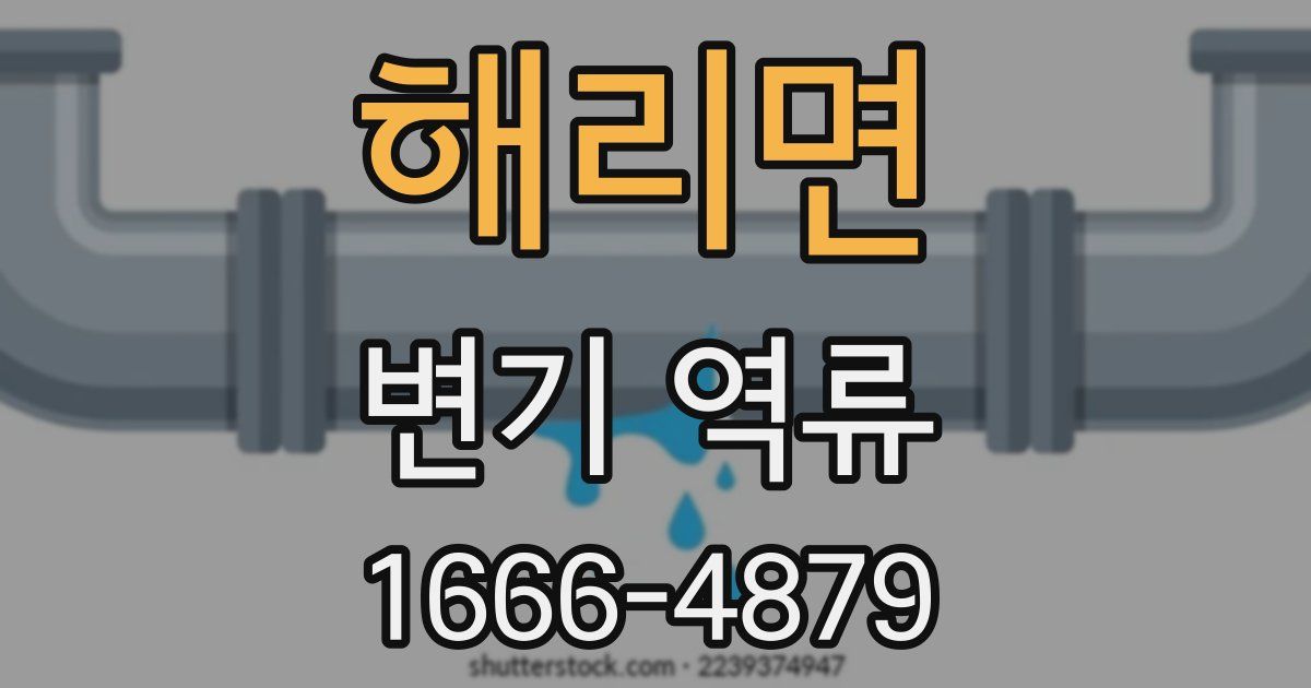 해리면 변기 역류