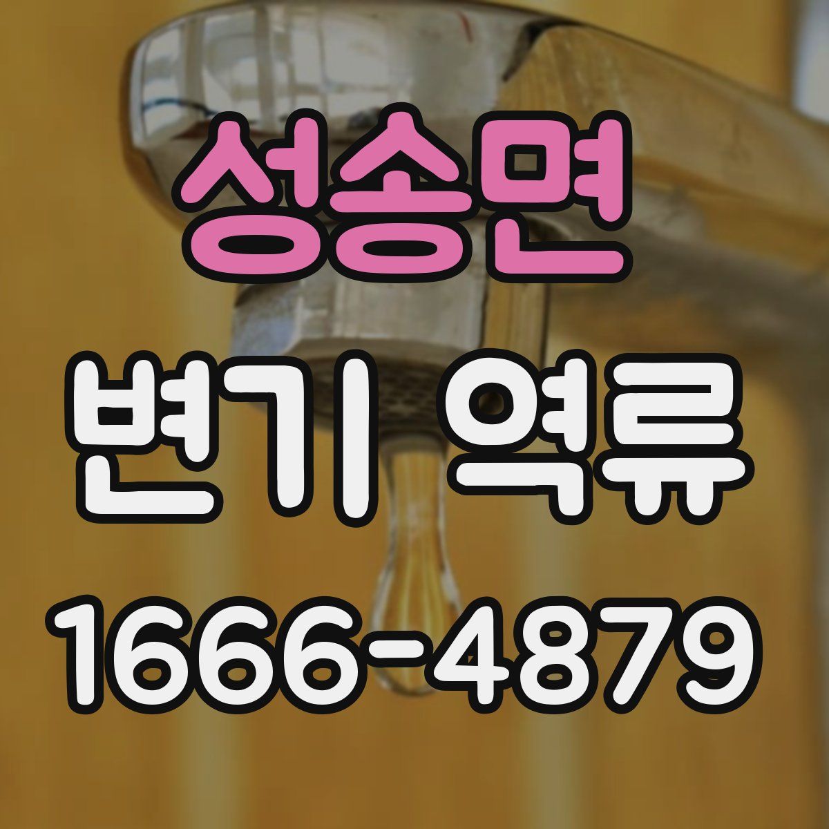 성송면 변기 역류