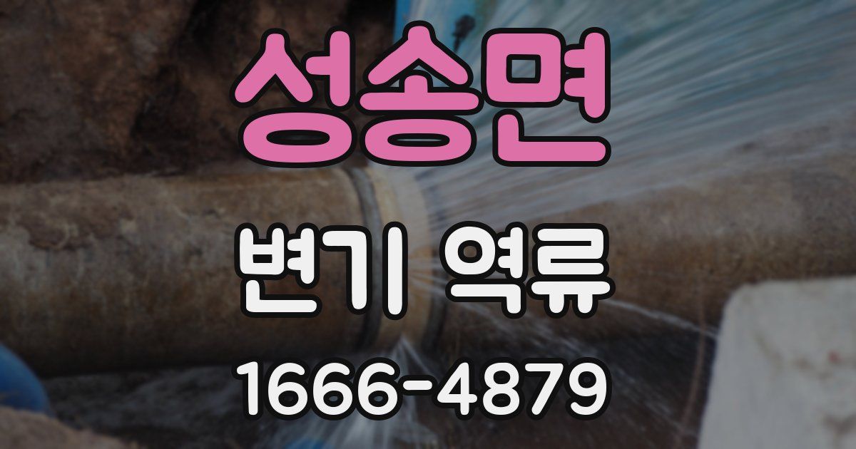성송면 변기 역류